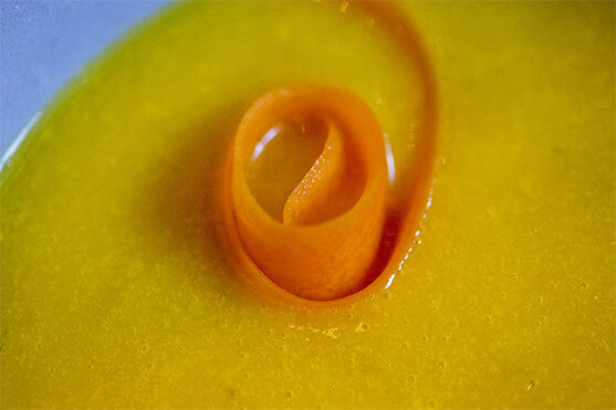 velouté potirons carottes, Saint Jacques pôélées : recette Créaline