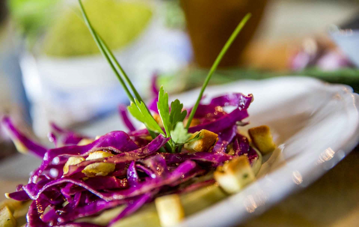 Une recette végétarienne avec la purée trio de légumes Créaline : crémeux de légumes verts au chou rouge