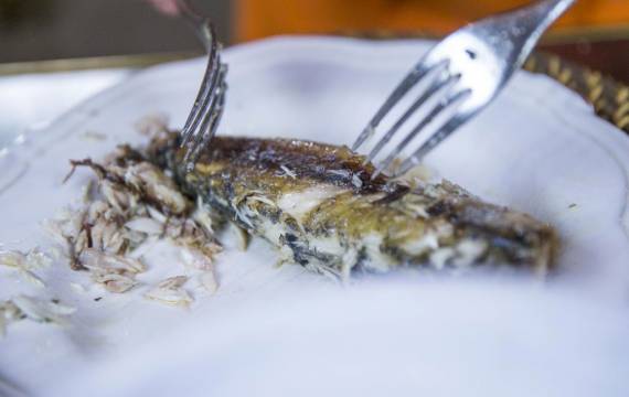 Créaline recette de saison velouté 7 légumes du potager et poisson de nos côtes